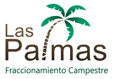 logo-color_las-palmas